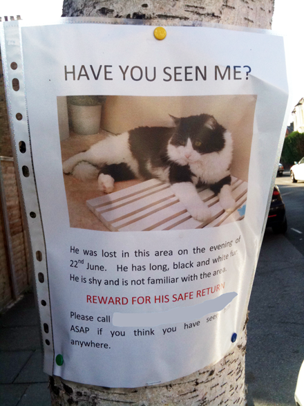 Have you seen me?