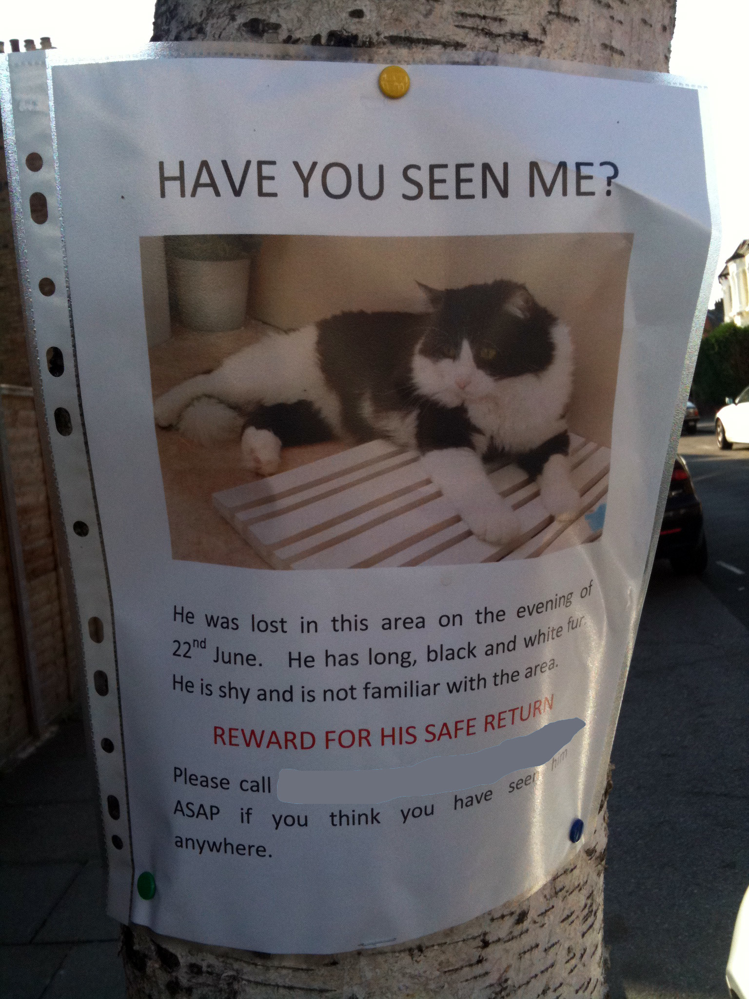 Have you seen me?